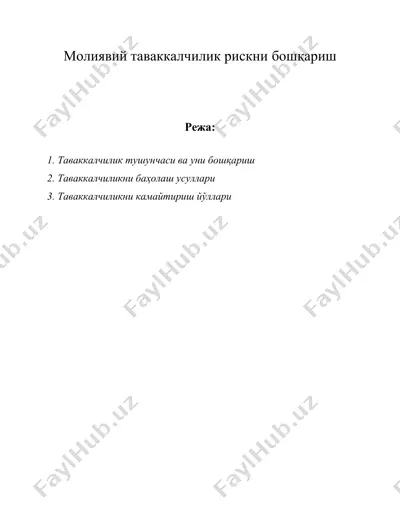 молиявий таваккалчилик рискни бошқариш — DOC