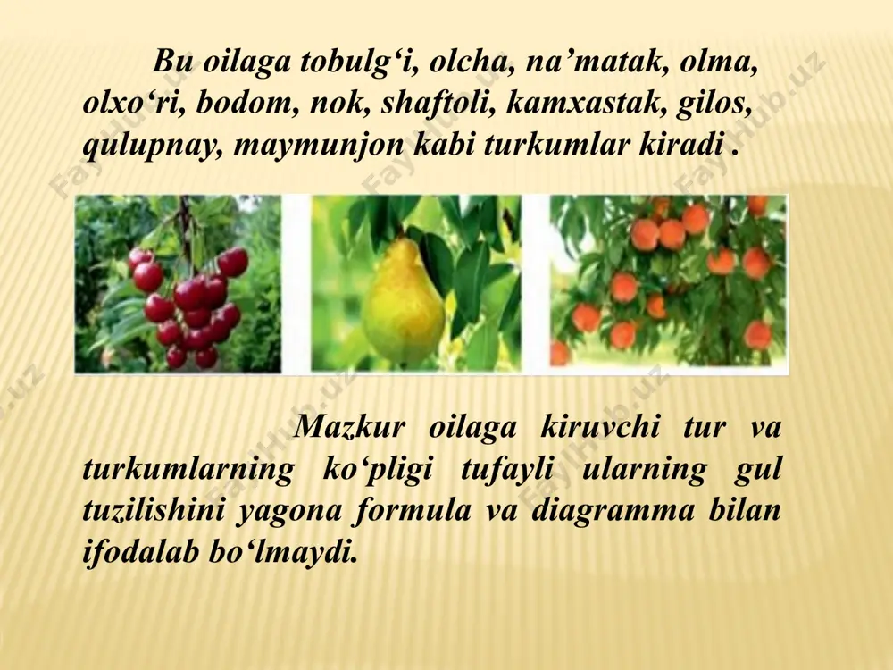 ra’nodoshlar oilasi - Page 4