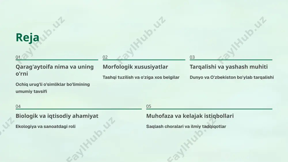 ilan tavsiflanadi abies (tuyqusqarag'ay) yassi barglar va tik turuvchi konuslar bilan farqlanadi larix (chilpar) barglarini kuzda to'kadigan yagona qarag'aytoifa vakili har bir turi o'ziga xos ekologik va morfologik xususiyatlarga ega bo'lib, turli iqlim sharoitlariga moslashgan. qarag'aytoifa o'simliklarining tarqalishi va yashash muhiti global tarqalish asosan shimoliy yarimsharda, tog' va o'rmon zonalarida keng tarqalgan. arktika chegarasidan tortib, subtropik hududlargacha yashaydi. ekologik moslashuv quruq, sovuq va qurg'oqchil sharoitlarga mukammal moslashgan. yuqori tog'larda va qattiq iqlim sharoitlarida ham yashay oladi. o'zbekistonda tarqalishi o'zbekiston hududida ham tog'li va o'rmonli hududlarda, ayniqsa chimyon va qoraqum atroflarida uchraydi. o'zbekiston tog'laridagi qarag'ay o'rmonlari respublikamizning tog'li hududlarida qarag'ay o'rmonlari noyob ekotizimlar hosil qiladi va mahalliy biodiversitetni boyitadi. qarag'aytoifa o'simliklarining biologik ahamiyati kislorod ishlab chiqarish ekologik tizimlarda kislorod ishlab chiqarish va karbonat angidridni yutishda muhim rol o'ynaydi yashash muhiti ko'plab hayvonlar, qushlar va hasharotlar uchun yashash joyi va oziq manbai yaratadi iqtisodiy qiymat yog'och sanoatida yuqori qiymatga ega, qurilish va …