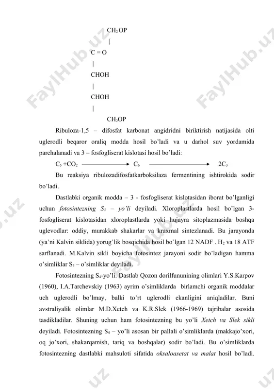 ga ega bo’lib, granalari bo’lmaydi. mezofill hujayralardagi xloroplastlar asosan granulyar tuzilish xarakteriga ega. makkajo’xori bargidagi umumiy xloroplastlarning 80% mezofill hujayralariga va qolgan 20 % obkladka hujayralari xloroplastlariga to’g’ri keladi. mezofill hujayralaridagi xloroplastlarda xetch va slek sikli bilan hosil bo’lgan dastlabki uglevodlar (oksaloasetat va malat kislotalari) o’tkazuvchi naylarga va obkladka hujayralariga o’tkazaladi. obkladka hujayralaridagi xloroplastlarga o’tgan to’rt uglerodli birikmalar yana kalvin siklida ishtirok etadi va kraxmalga o’zgaradi. shuning uchun ham bu xloroplastlarda kraxmalning miqdori ko’proq bo’ladi. obkladka hujayralaridagi xloroplastlarda malatning parchalanishi natijasida hosil bo’lgan piruvat kislotasi yana mezofill xloroplastlariga o’tkaziladi va fosfoyenolpiruvatga aylanib yana co2 ning akseptori vazifasini bajaradi. bunday tizim orqali fotosintez sodir bo’ladigan o’simliklarga s4 o’simliklar deyiladi. bunday o’simliklarda og’izchalar yopiq bo’lsa ham fotosintez jarayoni davom etadi. chunki obkladka hujayralaridagi xloroplastlar avval hosil bo’lgan malat (asparat) dan foydalanadi. bundan tashqari yorug’lik ta’sirida nafas olish jarayonida ajralib chiqqan co2 dan ham foydalanadi. shuning uchun ham s4 – o’simliklari qurg’oqchilikka, sho’rlikka …