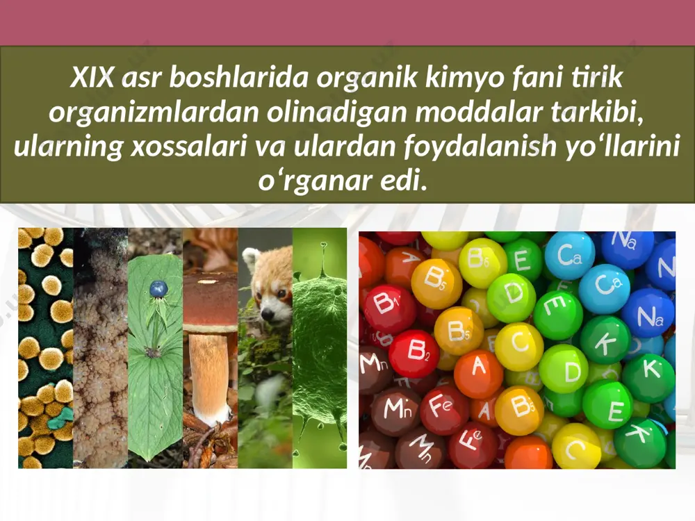 organik birikmalarning tuzilish nazariyasi. 9 - sinf - Page 3