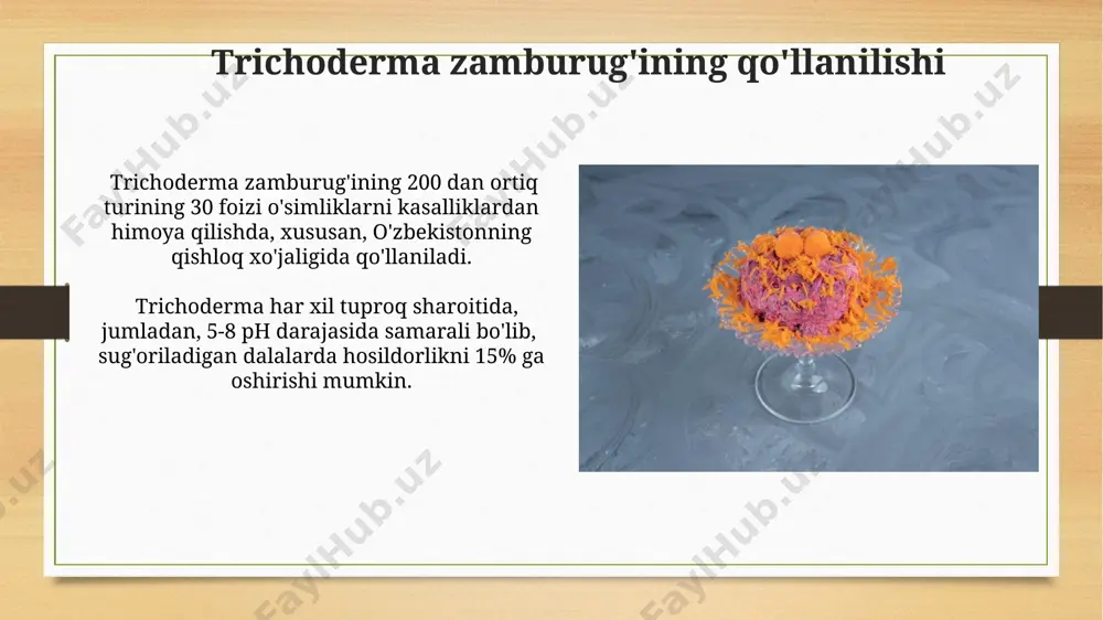 trixoderma zamburug‘i biologiyasi - Page 4