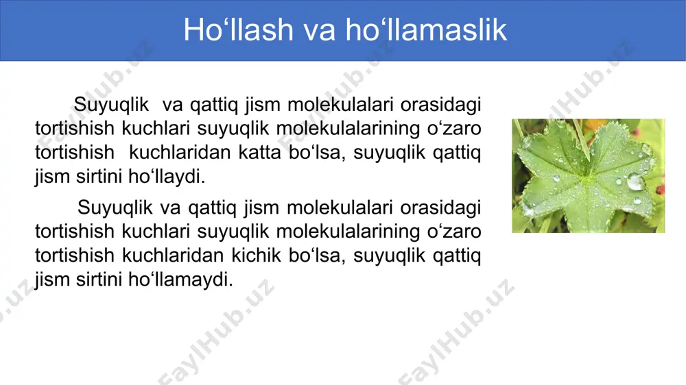 ho‘llash. kapillyar hodisalar - Page 2