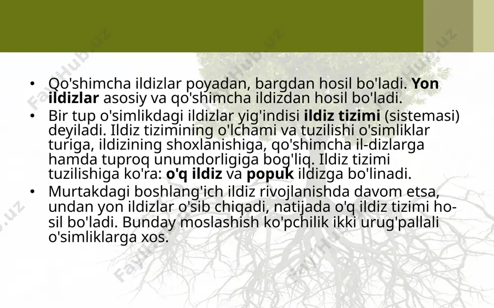 ildiz turlari va tizimlari. 6 - sinf - Page 5