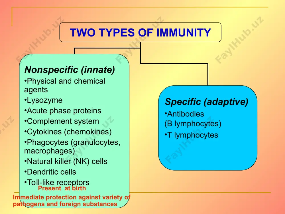 activation lectin pathway of complement activation late steps of complement activation inflammation stimulated by complement transferrins transferrins are iron-binding proteins. inhibit bacterial growth by reducing the amounts of available iron. transferrin transports iron from the small intestine, where the iron is absorbed, to the tissues, where the iron is used. transferrin and lactoferrin bind iron, limiting the growth of pathogens in the blood. lactoferrin is present in tears, semen, breast milk, bile, and nasopharyngeal, bronchial, cervical, and intestinal mucosal secretions. transferrin is present in serum and the intercellular spaces of many tissues and organs. innate immunity depends on receptor-recognition of common pathogen-associated molecules pathogen-associated molecular patterns (pamps) help the innate immune system recognize pathogens toll-like receptors (tlrs) are signaling receptors on: macrophages dendritic cells endothelial cells tlrs on mphs, dendritic cells, epithelial cells cytokines! pamps recognition toll-like receptors (tlrs) play a crucial role in the recognition of invading pathogens and …