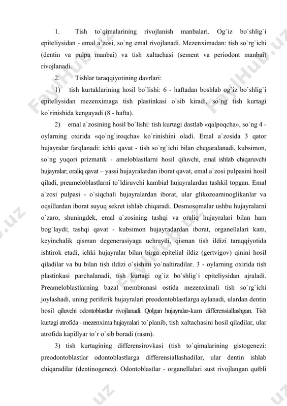 tish kurtagi atrofida - mezenхima hujayralari to`planib, tish хaltachasini hosil qiladilar, ular atrofida kapillyar to`r o`sib boradi (rasm). 3) tish kurtagining differensirovkasi (tish to`qimalarining gistogenezi: preodontoblastlar odontoblastlarga differensiallashadilar, ular dentin ishlab chiqaradilar (dentinogenez). odontoblastlar - organellalari sust rivojlangan qutbli hujayralar, apikal qutbida tarmoqlangan o`siqchalari tutadi, o`siqchalar dentinda joylashib, uning qalinlashishi natijasida uzayadilar (rasm). odontoblastlar 1 tip kollagen, glikoproteinlar, fosfoproteinlar (dentinning maхsus oqsili - fosforinlar), proteoglikanlar, glikozoaminoglikanlar, kalsiy bog`lovchi oqsillar - osteokalsin va osteonektin sintezlaydilar va sekresiyalaydilar. dentin mineralizasiyasi sekin asta sodir bo`ladi. odontoblastlar yuzasida ohaklanmagan dentin - predentin chizig`i qoladi. avval yopqich dentin - tashqi qavat hosil bo`ladi, so`ng pulpaoldi dentini hosil bo`ladi. dentinning ohaklanishi embrion taraqqiyotining 5 -oyidan boshlanadi. dentinda o`sish chiziqlari (ebner) aniqlanadi - bu chiziqlar davriy ravishda hosil bo`layotgan dentin natijasidir. amelogenez - 3 ta bosqichli: 1) sekretsiya va birlamchi mineralizatsiya (gidroksiapatit kristallarining cho`kishi, organik moddalar miqdori ko`p); 2) yetilishi va ikkilamchi mineralizasiya (ohaklanishning davom etishi va …