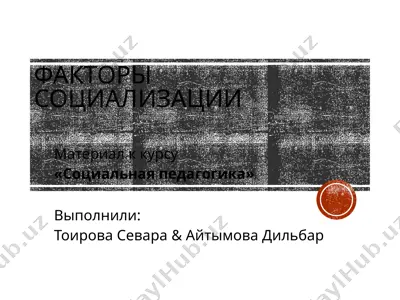 факторы социализации — PPTX