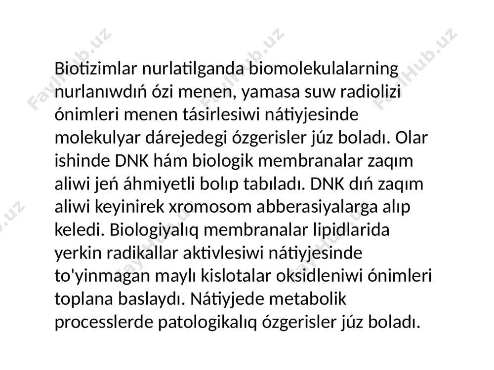 b. kudryashov teoriyası bolıp, radiatsiyaǵa shıdamlılıq organizmdegi yendogen qorǵaw rolin atqaratuǵın zatlarǵa baylanıslı deydi hám krisa, tıshqanlar daǵı endogen mısalında tastıyıqlaydı. bunda radioaktiv uranli topraqta ósip atırǵan ósimlikler mısalında prof. n. norboyev da tastıyıqlaydı. yaǵnıy joqarı radioaktiv topraqta ósip atırǵan ósimliklerde rutin, kvarsetin, sietin-sestialin zatları ápiwayı topraq (15-25 mkr/s) qa salıstırǵanda kóbirek sintez bolıp tóplanǵanlıǵı tájiriybeler járdeminde tastıyıqlandi. leykotsitlar ádetdegi yadro kletkaları bolıp tabıladı. olar infektsiyadan qorǵaw funktsiyasına iye. ionlashtiruvchi nurlar menen nurlanganda leykotsitlar qabıl etilgen dozaga proporcional túrde azayadı. leykotsitlarning azayıwı denediń infektsiyalarǵa shıdamlılıǵın pasaytiradi. limfotsitlar ionlashtiruvchi nurlanıw nátiyjesinde jetkizilgen záleldiń eń bayqaǵısh kórsetkishi bolıp tabıladı. limfotsitlar sanınıń tómenlewi nurlanıwdan keyin tezlik penen gúzetiledi hám 1 - 3 kúninde maksimal dárejege jetedi hám usınıń menen immunitet sistemasın susaytiradi. trombotsitlar qan jibisiw processinde zárúrli rol oynaydı. radiatsiyaǵa dus kelgende olardıń sanı azayadı hám sol sebepli qan jibisiwi menen baylanıslı máseleler payda boladı. radiatsiya tásiri astında kletkalar jańalanishining túrli basqıshlarında gematopoez …