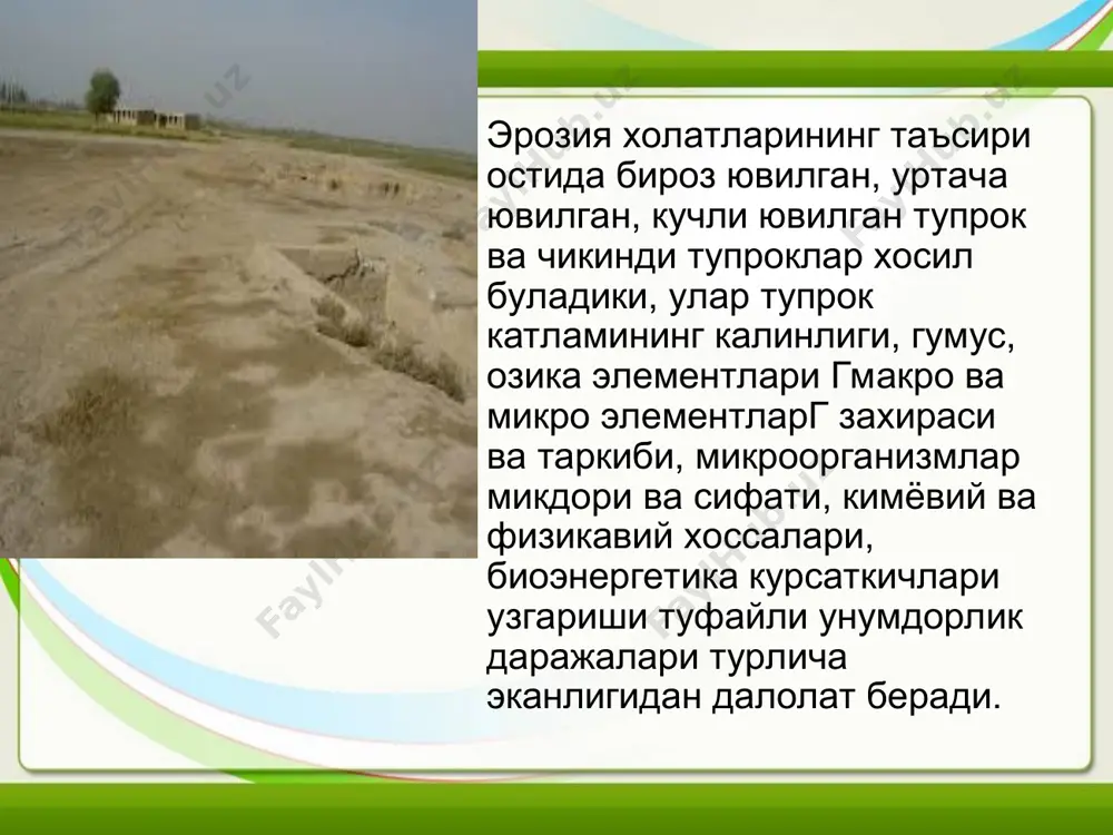 р. бу хил тадбирларни агротехник, ўрмон-мелиоратив тадбирлар қўллаш мумкин бўлмаган жойларда ёки улар яхши кутилган натижа бермайдиган вақтда қўлланилади. гидротехник тадбирларга қуйидаги тадбирлар киради: а) қирғоқларни мустаҳкамлаш ишлари; б) селлардан ҳимоя қилиш тадбирлари; в) ирригация тармоқларини қайта қуриш ва уларни эрозиядан асраш иншоотларини яратиш. тупроқ эрозиясига қарши курашишда суғориш техникасини тўғри ташкил этиш катта аҳамиятга эга бўлиб, унинг ўзи ҳам ирригация тармоқларининг ҳолатига ҳамда карталарнинг текислигига (планировкасига) боғлиқдир. ҳозирги кунда 2,5 минг км дан ортиқ каналлар қайта тикланишга муҳтождир. чўллашишга қарши курашишнинг муҳим омилларидан бири ташкилий хўжалик ва агротехник тадбирлар ҳисобланади. булар тупроқнинг юза қатламининг емирилиши (бузилиши)ни тўхтатишга қаратилган бўлиб, эрозияга учраган ерларнинг унумдорлини ошириши мумкин. эрозияга учраган ерларда қишлоқ хўжалик экинларини экишнинг агротехник таркибий қисмини ҳам шулар ташкил этади. ана шу тадбирлар орасида муҳим ўринни алмашлаб экиш эгаллайди. кучли эрозияга учраган суғориладиган ерларда ва ўртача ва кучли шамоллар таъсири остида бўлган ерларда вегетация даври узоқ чўзиладиган экинлардан ташкил топган …