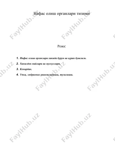 нафас олиш органлари тизими — DOC