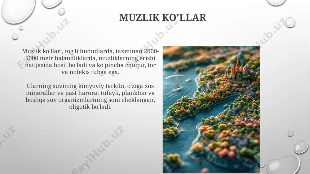 ko‘llarning genetik tasnifi - Page 3