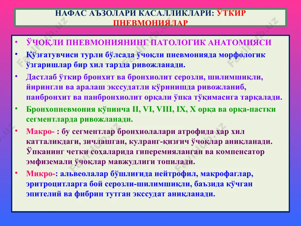 рункали бронхит ii, vi, viii, ix, x-сегментлардан локал ҳолда бошланиб, қисқа вақт ичида сурункали диффуз бронхитга айланади. макро-: бронхлар девори қалинлашган, деформацияланган, бўшлиғида шилимшиқли, йирингли тиқин аниқланади, бронхлар кесим юзасидан бўртиб чиққан кўринишда, атрофида бириктирувчи тўқима тутамлари пайдо бўлган. микро-: шиллиқ пардаси атрофияланган, безлари кисталарга айланган, қопловчи призматик эпителийси кўп қаватли ясси эпителийга метаплазияланган. баъзида полиплар пайдо бўлади. 1 – бронхлар девори қалинлашиб, деформацияланган. 2 – бириктирувчи тўқима ўсган. 1 – бронх бўшлиғида некротик лейкоцитар масса тўпланган. 2 – бронх девори диффуз ҳолда яллиғланган. 3 – бириктирувчи тўқима ўсган. сурункали бронхит 1 1 2 1 2 3 бронхоэктазиялар бронхоэктазиялар – бронхларнинг цилиндр ва халтасимон кенгайиши. туғма ва орттирилган кўринишларда учрайди. туғмаси бронхлар дарахти ривожланиши бузилганда кузатилади. орттирилгани: бронхитоген ва пневмониоген келиб чиқади. макро-: ўпканинг кесимида бронхлар ҳар хил катталикда кенгайган, деформацияланган, атрофида бириктирувчи тўқима ўсган. микро-: шиллиқ пардаси атрофияланган, қопловчи призматик эпителийси кўп қаватли ясси эпителийга метаплазияланган. бронхоэктатик касаллик, бу …