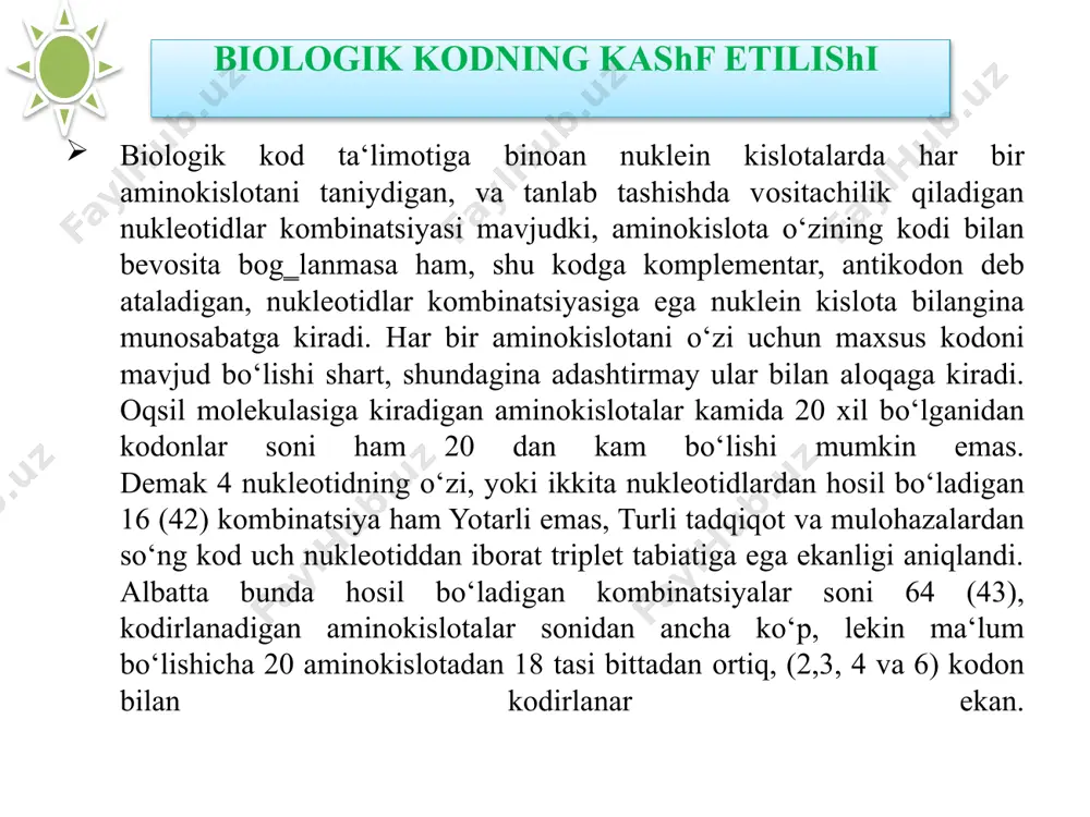 transkripsiya, translyatsiya va oqsil sintezi. - Page 5