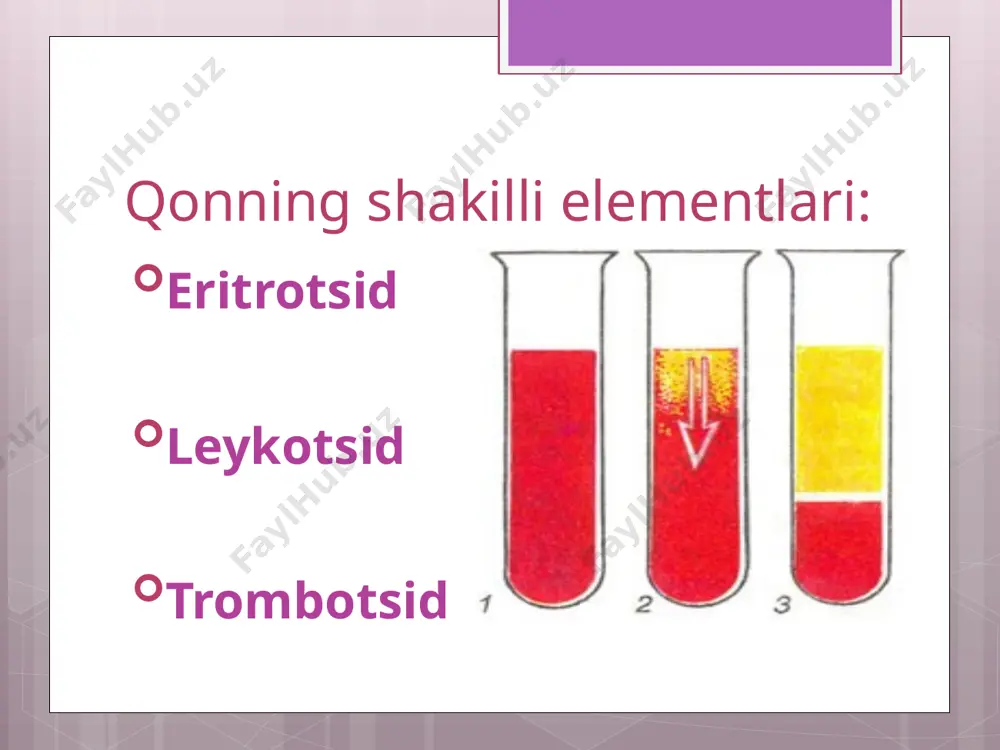 m mumkin (trombotsitopeniya), ayrim dorilarga nisbatan sezuvchanlik yuqori boʻlganda, baʼzi kimyoviy moddalardan zaharlanganda trombotsidlarning koʻplab yemirilishi kuzatiladi, bunda salga qon oqaveradi. trombotsidlarning kamayishi fiziologik boʻlishi ham mumkin, mas, kishi uxlaganda, ovqatdan keyin, hayz koʻrganda trombotsidlar kamayadi. tromblar parietal (tomirning lümenini qisman kamaytiradi) va tiqilib qoladi tuzilishiga qarab oq, qizil va aralash qon quyqalari farqlanadi.birinchi holda, trombotsitlar, leykotsitlar va oz miqdorda plazma oqsillari tomonidan tromb hosil bo'ladi; ikkinchisida - fibrin iplari bilan o'zaro bog'langan eritrotsitlar; aralash tromblar o'zgaruvchan oq va qizil qatlamlardan iborat. tromb hosil bo'lishi (virxov triadasi). 1. qon tomir devorining shikastlanishi:u jismoniy (mexanik shikastlanish, elektr toki), kimyoviy, biologik (mikroorganizmlarning endotoksinlari) omillar ta'sirida, shuningdek, qon tomir devorining noto'g'ri ovqatlanishi va metabolizmi natijasida yuzaga kelishi mumkin. 2.qon va qon tomir tizimlarida koagulyatsion va antikoagulyatsion faollikni buzilishi: tromblarni shakllanishi uchun undagi prokoagulyantlar kontsentratsiyasining oshishi hisobiga qon ivish tizimining faolligining oshishi ham, antikoagulyant va fibrinolitik tizimlar faolligining pasayishi ham katta ahamiyatga ega. 3.qon …