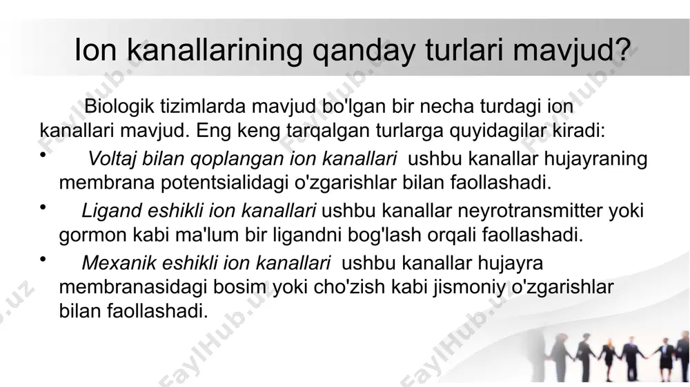 ion kanallari holat dinamikasining modeli - Page 5