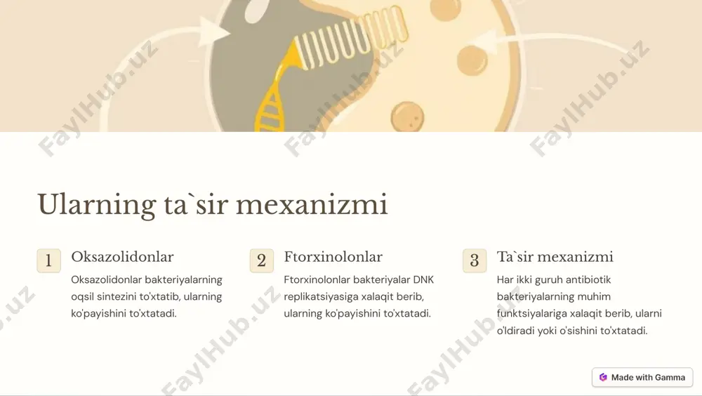 oksazolidonlar va ftorxinolonlar - Page 2
