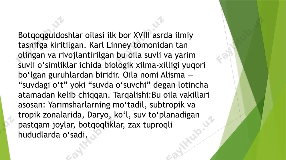 htirish. suv sathining keskin o‘zgarishlaridan himoya qiladi. hayvonlar uchun yashash joyi. suv hayvonlari: baliqlar, qurbaqalar, hasharotlar lichinkalari, qushlar uchun boshpana va oziq manbai. ayniqsa sagittaria, caldesia, limnophyton turlarining barglari ostida baliq urug‘lari himoyalanadi. biologik xilma-xillikni saqlash. ko‘plab turdagi o‘simliklar, qushlar, hasharotlar faqat botqoqlik ekotizimlarida uchraydi. botqoqguldoshlar ushbu ekotizimlarning asosiy birlamchi ishlab chiqaruvchilari hisoblanadi.inson hayotidagi ahamiyati dorivor ahamiyati alisma plantago-aquatica: xalq tabobatida siydik haydovchi, yallig‘lanishga qarshi dori sifatida ishlatilgan. ildizi va barglari yurak faoliyatini me’yorga soluvchi va shishlarni kamaytiruvchi vosita sifatida qadrlangan. xitoy an’anaviy tibbiyotida alisma turlari asrlar davomida ishlatilgan (masalan: “zexie” nomi bilan). dekorativ ahamiyati echinodorus, sagittaria, alisma turlari akvarium va sun’iy hovuzlar uchun juda chiroyli ko‘rinishga ega. suv bog‘lari, landshaft dizaynida bezak sifatida keng ishlatiladi. barg shakllarining xilma-xilligi (o‘qsimon, yelpig‘ichsimon, yuraksimon) ularni juda jozibador qiladi. iqlim o‘zgarishiga qarshi kurashda roli. uglerodni yutish. botqoqguldoshlarning ba’zi turlari katta biomassa hosil qiladi, bu orqali co₂ ni yutib, atmosferadagi issiqlik gazlarini kamaytirishga hissa …