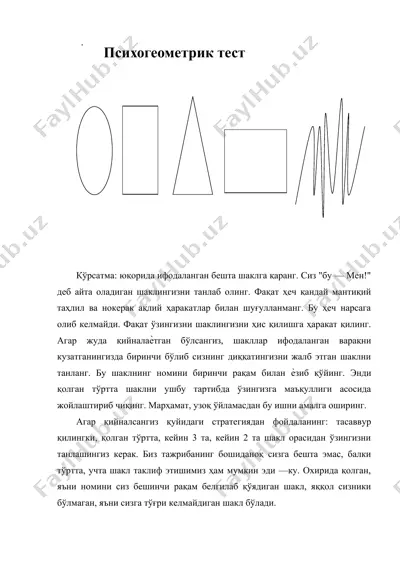 психогеометрик тест — DOC