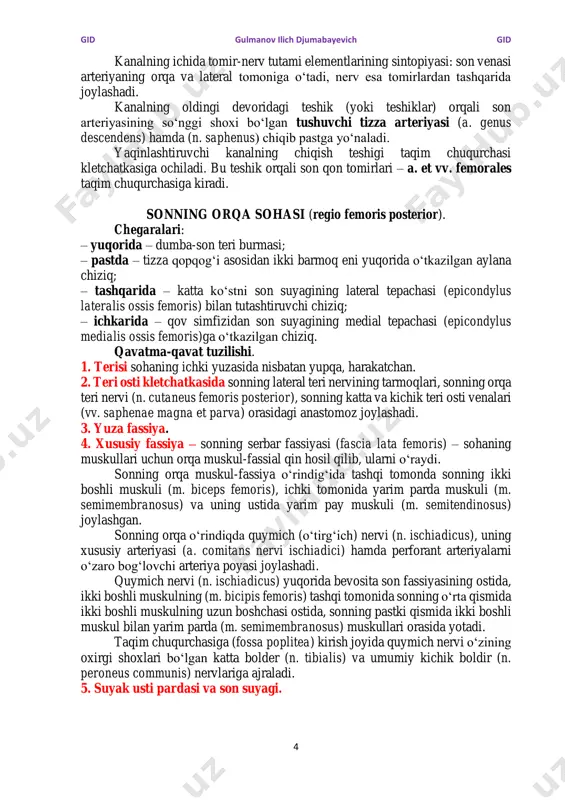 -bel (m. iliopsoas) muskullari orasidagi tarnovsimon chuqurchada yotadi. bu tomirlarni son nervidan serbar fassiyaning chuqur varag‘i ajratib turadi. son uchburchagida son arteriyasidan yuza qorin usti (a. epigastrica superficialis), tashqi tanosil (a. pudenda externa), yonbosh suyagini o‘rovchi yuza arteriyalar (a. circumflexa ilium superficialis) tarmoqlari, sonning chuqur arteriyasi (a. profunda femoris) chiqadi. sonning chuqur arteriyasi (a. profunda femoris) oz navbatida son suyagini o‘rovchi lateral va medial arteriyalar (aa. circumflexae femoris lateralis et medialis)ni hamda 3 ta perforant (teshib o‘tuvchi) arteriyalar (aa. perforantes)ni beradi. yopqich kanali (canalis obturatorius). yopqich kanali (canalis obturatorius) qov suyagi yuqori shoxining (ramus superior ossis pubis) pastki yuzasida orqadan-oldinga va ichkaridan tashqariga yo‘nalgan bo‘lib, yopqich pardasi (membrana obturatoria), ichki va tashqi yopqich muskullari bu egatning chetlariga yopishishi natijasida hosil bo‘ladi. kanalning ichki teshigi tosdagi siydik pufagi oldi kletchatka bo‘shlig‘iga (spatium previscerale), tashqi teshigi sonning medial muskullar o‘rindig‘iga, taroqsimon muskulning ostiga ochiladi. yopqich kanali orqali yopqich tomir- nerv tutami (a., …