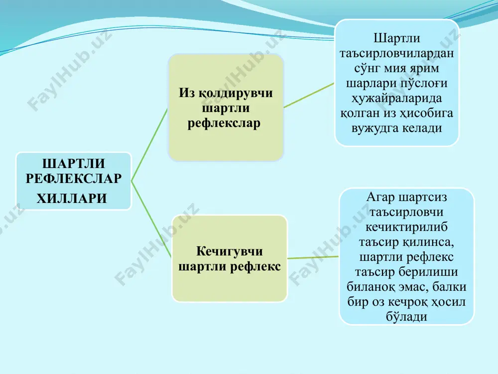, o'qish va yozishni tez o'rganadi, xulqi yaxshi, a'lo baho bilan o'qiydi. uyga berilgan vazifalarni o'z vaqtida bajarib kelishga harakat qiladi, nutqi tez va ravon, so'z boyligi ko'p, aytilgan so'zlarni tez ilg'ab oladi jonli, harakatlari tez, turli imo - ishoralar bilan o'z fikrini ifoda klladi va boshqa ijobiy xarakterlar bilan ajralib turadigan bolalar. odam oliy nerv faoliyatining 3- tipi kuchli, qo'zg'aluvchan, muvozanatlashgan, kam harakat tip bu tipda ko'zg'olish va tormozlanish kuchli, ammo ularning o'rin almashinuvi sust bu tipga kiruvchi bolalarda shartli reflekslar sekin hosil bo'ladi, tez so'nadi va sekin tiklanadi, ular o'qish, yozish va gapirishni tez o'rganadilar, xulqlari yaxshi, odobli, nutqlari sekin va ravon bo'ladi. odam oliy nerv faoliyatining 4- tipi nimjon yoki sust tip bu tipda nerv protsesslari sust, kam qo'zg'aluvchan va tormozlanish jarayoni yuqori bu tipdagi bolalarning ish qobiliyati past, nutqi sekin, yaxshi rivojlanmagan, so'z boyligi kam, qiyinchi-liklardan qo'rqadi. tez charchaydi, o'qish, yozishni sekin o'rganadi, maktab hayotiga qiyinchilik …