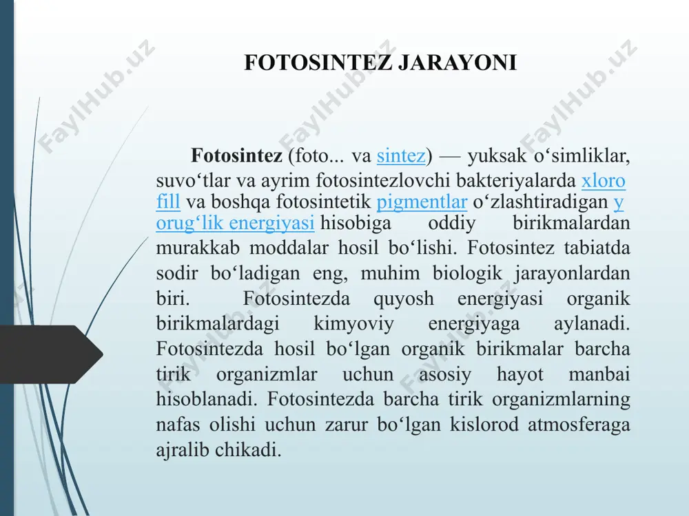 oq bo'ladi o'simliklar bu energiyani fotosintez uchun ishlatadi. bundan tashqari, quyosh nurlari o'simliklar va issiqxonani isitadi. “agar quyosh nurlari issiqxonaga koʻproq kirsa, bu nafaqat fotosintezga ijobiy taʼsir qiladi. yuqori haroratlar ham o'simliklardagi barcha jarayonlarni tezlashtiradi. agar u juda issiq bo'lsa, ular fotosintez qila olmaydi. agar juda sovuq bo'lsa, ularning ishlashi nolga tushadi. buning sababi shundaki, fotosintez fermentlarni o'z ichiga oladi va 40 darajadan yuqori haroratda fermentlar fotosintez tezligini sekinlashtiradigan denaturatsiyani boshlaydi. havoga karbonat angidrid qo'shib, undagi konsentratsiyasini oshirish orqali fotosintez intensivligini 1,5-3 marta oshirish mumkin. atrof-muhit omillarining ta'siri o'simliklarning hayotiy jarayonlarini rag'batlantirishi yoki ularni cheklash, sekinlashtirishi mumkin. fotosintez jarayonining asosiy omillari yorug'lik, harorat, namlik va edafik (tuproq) omillardir. harorat. energiya manbai quyosh nuri bo'lib, barglardagi xlorofill (yashil pigment) tomonidan so'riladi. yorug'lik ta'sirida fotosintez jarayoni sodir bo'ladi - karbonat angidrid va suvdan uglevodorodlar hosil bo'ladi. fotosintezning qo'shimcha mahsuloti tirik organizmlar uchun zarur bo'lgan kisloroddir. fotosintez yerdagi eng muhim biologik jarayonlardan biridir. …