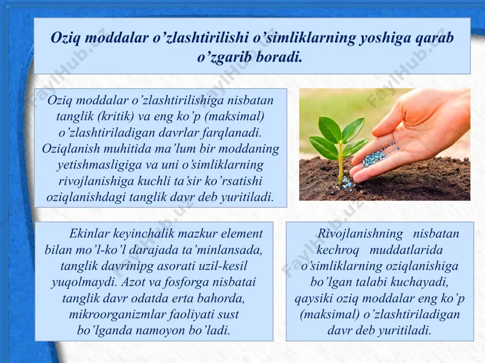 h. ekish bilan birga o’g’it qo’llashda maxsus o’g’itlagich moslamalaridan foydalaniladi. o’g’itlarni bu usulda qo’llashdan kutiladigan asosiy maqsad nixollarni rivojlanishning ilk 6-15 kunlarida oziq moddalar bilan yetarlicha ta’minlash bo’lib, asosan oson eriydigan mineral o’g’itlardan foydalaniladi. ekinlarni qushimcha oziqlantirish. ma’lumki sug’oriladigan dexqonchilik sharoitida, shuningdek nam iqlimli regionlarda azotli o’g’itlarni, ayniqsa nitratli va ammiakli-nitratli azotli o’g’itlarni, asosiy o’g’itlash vaqtida qo’llab bo’lmaydi. azotli o’g’itlarning 70-80 foizi, kaliyning yarmi va fosforning kamroq qismi tuproqqa qo’shimcha oziqlantirish sifatida kiritiladi. qishlok xo’jalik ekinlari tuproqdan oziq moddalarni turli miqdor va nisbatlarda olib chiqib ketadi. bunda o’simliklarning turi va navi bilan bir qatorda tuproq-iqlim sharoitlari ham muhim o’rin egallaydi. o’simliklarning oziq moddalariga bo’lgan talabi umumiy -hosil bilan olib chiqib ketiladigan oziq moddalar miqdori bilan yoki asosiy mahsulotning hosil birligi bilan belgilanadi. oziq moddalarning biologik va xo’jalik chiqimi tushunchalarini farqlay olishimiz lozim. o’simliklar tomonidan hosilning biologik massasini (don, somon, angiz va ildiz qoldiqlari) shakllantirish uchun o’zlashtiriladigan oziq moddalar miqdori biologik …
