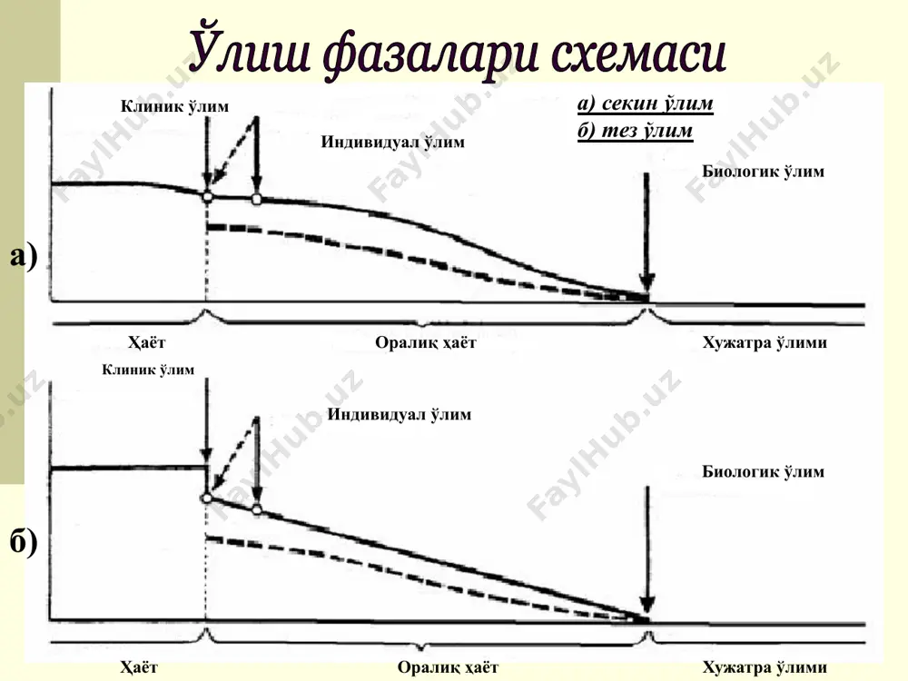 суд-тиббий танатология - Page 5