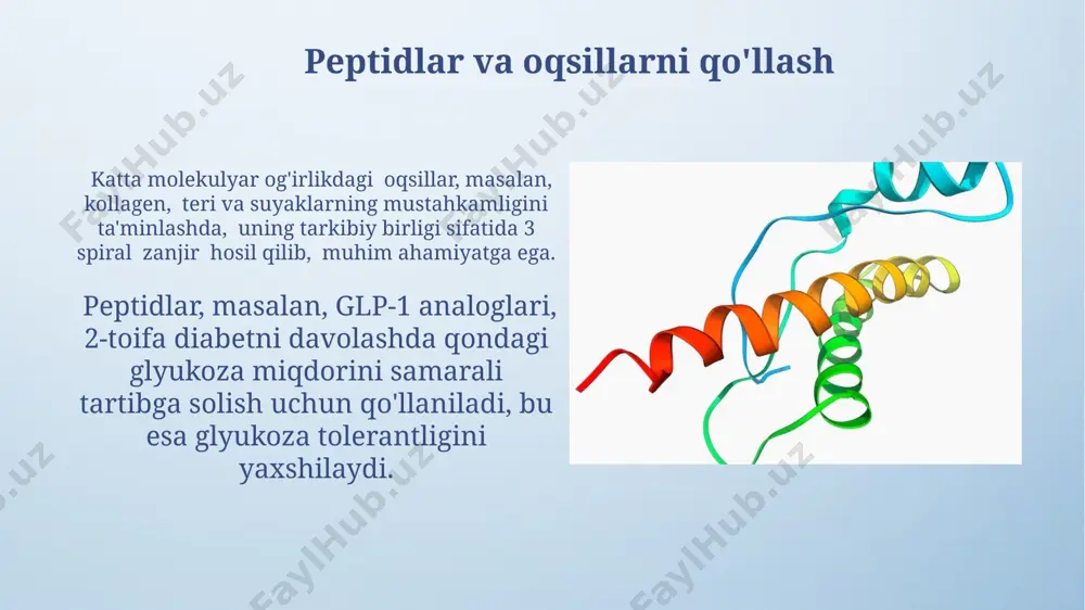ota tarkibiga bog'liq bo'lib, bu ularning biologik faolligini va organizmdagi ta'sirini belgilaydi. masalan, gidrofobik aminokislotalar miqdori yuqori bo'lgan peptidlar membranalar bilan o'zaro ta'sirlashadi. peptidlarning molekulyar massalari odatda 5 kda dan kam bo'ladi, bu ularning yuqori darajadagi suvda eruvchanligini va hujayra membranalaridan oson o'tishiga yordam beradi. oqsillarning fermentativ faoliyati ko'pgina fermentlar koenzimlar yoki kofaktorlar – kichik organik molekulalar yoki metall ionlari – bilan bog'lanib, to'liq faoliyat ko'rsatishi uchun qo'shimcha yordamga muhtoj. fermentativ faoliyat maxsus faol markazlar orqali amalga oshiriladi, ular substrat molekulalarining o'ziga xos bog'lanishi va reaksiya mahsulotlarining hosil bo'lishi uchun javobgardir. oqsillarning strukturaviy funksiyasi oqsillar transmembran oqsillar sifatida hujayra membranasining tarkibiga kirilib, ion kanallari, retseptorlari va fermentlar sifatida xizmat qiladi, shu bilan hujayra funksiyalarini tartibga soladi. oqsillar hujayra skeleti, masalan, aktin va tubulin kabi mikrofilamentlar va mikrotubulalarni hosil qilib, hujayraning shaklini va mustahkamligini saqlashda muhim rol o'ynaydi. e'tiboringiz uchun rahmat @taqdimot_robot image4.png image5.jpg image6.jpg image7.jpg image8.jpg image9.jpg image10.jpg image11.jpg image12.jpg …