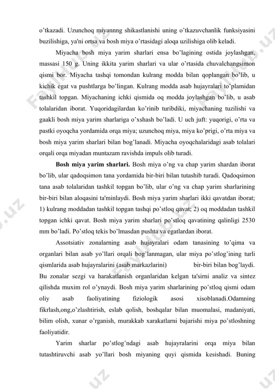 ri bilan asab yo’llari orqali bog’lanmagan, ular miya po’stlog’ining turli qismlarida asab hujayralarini (asab markazlarini) bir-biri bilan bog’laydi. bu zonalar sеzgi va harakatlanish organlaridan kеlgan ta'sirni analiz va sintеz qilishda muxim rol o’ynaydi. bosh miya yarim sharlarining po’stloq qismi odam oliy asab faoliyatining fiziologik asosi xisoblanadi.odamning fikrlash,ong,o’zlashtirish, eslab qolish, boshqalar bilan muomalasi, madaniyati, bilim olish, xunar o’rganish, murakkab xarakatlarni bajarishi miya po’stloshning faoliyatidir. yarim sharlar po’stlog’ndagi asab hujayralarini orqa miya bilan tutashtiruvchi asab yo’llari bosh miyaning quyi qismida kеsishadi. buning natijasida chap yarim shardagi asab markazlari odam tanasining o’ng tomonidagi to’tsima va organlar, o’ng yarim shardagi asab markazlari esa tananing chap tomonidagi to’qima va organlar ishini boshqaradi. bosh miya sharlarining ichki (po’stloq osti) qismi oq moddadan iborat bo’lib, u miya po’stlog’idagi asab hujayralarining o’simtalaridan tashkil topgan. ular miya po’stlog’ining turli qismlarida hujayralarni, ya'ni asab markazlarini bir-biri bilan va bosh miyaning quyi qismidagi (miya stvolidagi) markazlar bilan bog’laydi. ma'lumki gapirish qobiliyati …