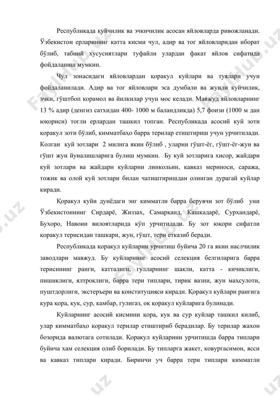 иб берадилар. бу терилар жахон бозорида валютага сотилади. қоракул куйларини урчитишда барра типлари буйича хам селекция олиб борилади. бу типларга жакет, ковургасимон, ясси ва кавказ типлари киради. биринчи уч барра тери типлари кимматли хисобланади. куйларнинг гулларининг катталиги, шакли буйича селекция олиб борилади. урта гулли ва майда гулли терилар кимматли хисобланади. қоракул куйларининг тирик вазни 35- 40 кг, кучкорлариники 50-55 кг бўлиб , улардан 2-3 кг дагал жун олинади. республиканинг тог ва тог олди зоналаридаги яйловларида гўшт- жунбоп думбали хамда гўшт ёгбоп куйлар урчитилмокда. думбали куйларнинг асосий зотлари хисор ва жайдари куйлардир. хисор куйлари сурхандарё вилоятининг шимолий ва урта минтакасида урчитилади. хисор куйлари йирик, гўшти ва ёги мул булади. наслдор она куйнинг тирик вазни 60-65 кг, кучкорлариники 100-110 кг булади. гўштга топшириладиган куйларнинг 1,5 ёшдагиси 50-60 кг, каттароги 60-70 кг келади. бу зот куйларнинг жуни жуда дагал булади, хар бир куйдан атиги 0,7-0,8 кг жун олинади. узнииж ходимлари сурхандарё вилоятининг бойсун …