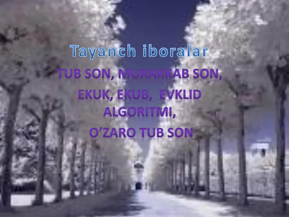 ekub va ekuk. arifmetikani asosiy teoremasi. evklid algoritmi. - Page 5