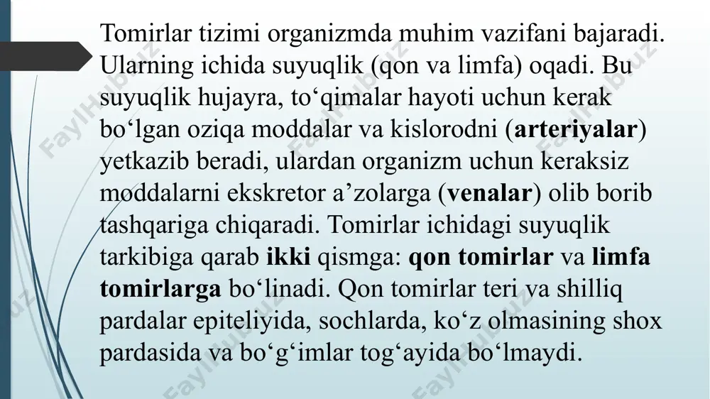 sida burma hosil bo‘ladi. bu burma pastga qarab o‘sib 5 - hafta boshlarida umumiy bo‘lmachani ikkiga bo‘luvchi to‘siqqa aylanadi. yurak (лат. cor; греч. cardia)-yurak ko’krak qafasini o’rta soxasi o’pkalar orasida joylashgan, 3/1 qismi o’ng tomonga va 3/2 qismi chap tomonga to’g’ri keladi. yurakda 4 ta yuza tafovut qilinadi. 1.facies sternocostalis-old yuza to’sh dastasi va qovurg’a tog’ayidan iborat. 2.facies posterior-qizilo’ngach va aorta thorasica bor. 3.facies inferior(diafragmatica)-diafragma joylashgan. 4.facies mediastinalis(pulmonalis) yurak 4 ta kameradan iborat bo’lib 2 ta bo’lmacha va 2 ta qorinchadan iborat. o’ng bo’lmacha va o’ng qorincha o’rtasida 3 tabaqali klapan (valvula tricuspidale), chap bo’lmacha va chap qorincha o’rtasida 2 tabaqali klapan (valvula bicuspidale) joylashgan. yurak normada 60-89 martagacha uradi 1 daqiqada. o‘ng bo‘lmacha(atrium dextra)2-3mm o‘ng qorincha bilan o‘ng bo‘lmacha va o ‘ng qorinchalar orasidagi teshik (ostium atrioventricularae dextrum) orqali qo‘shilib turadi. pastki kavak vena teshigi bilan o‘ng bo‘lmacha va o‘ng qorinchalar orasidagi teshik o‘rtasida tojsimon sinus teshigi (ostium sinus …