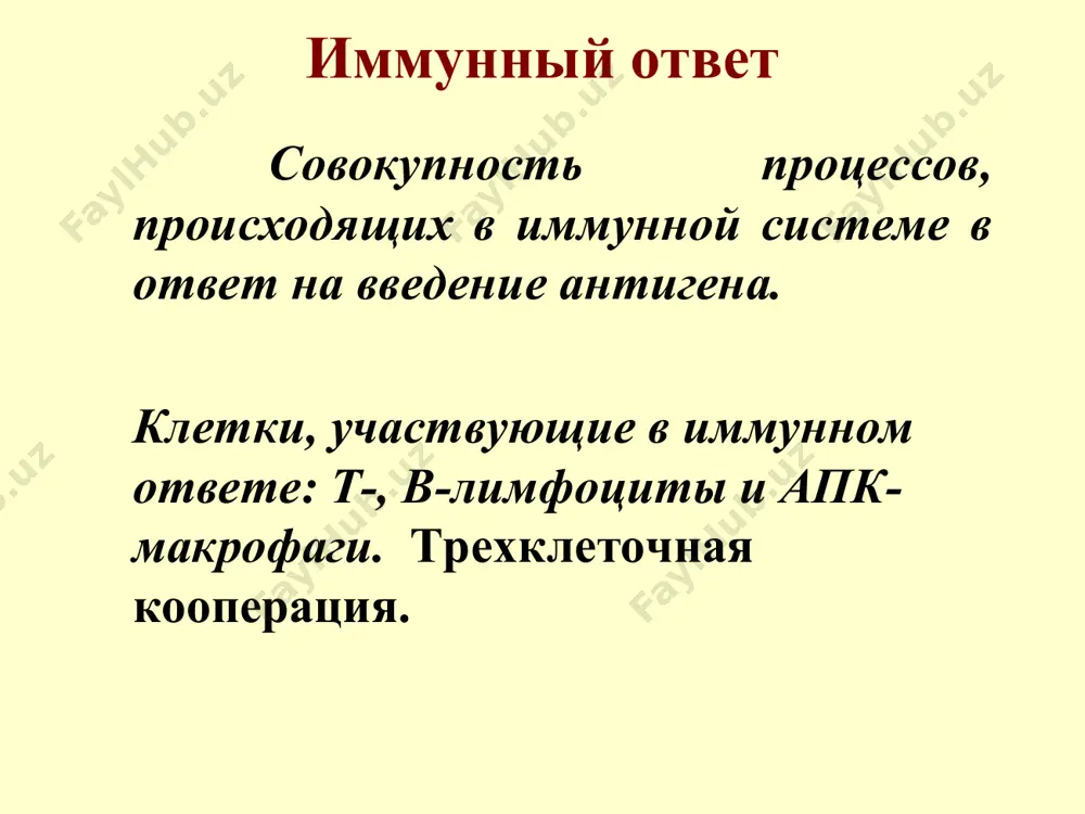 авление аг (тхо) адаптивные субпопуляции т-хелперов th1 • продуцируемые цк - ифн-γ , ил-2, фно-α, тфр-β • клетки-партнеры – мф (защита от внутриклеточных патогенов) th2 • продуцируемые цк – ил-4, ил-5, ил-6, ил13, ил-10 • клетки-партнеры – в-лимф., эф (защита от паразитов и внеклеточных патогенов) th17 • продуцируемые цк – ил-17, ил-22, ил-21 • клетки-партнеры- нейтрофилы (защита от внеклеточных патогенов) тreg • продуцируемые цк – трф-β, ил-10 (защита от аутоагрессии) дифференцировка т-хелперов th17- механизмы действия и биологические эффекты адаптивные субпопуляции т-лимфоцитов (физиологические и патологические эффекты) варианты клеточного иммунного ответа цитотоксический тип клеточного иммунного ответа этапы: 1. презентация дк антигена cd8+ т-лимфоцитам (активация) 2. ил-2 зависимая пролиферация cd8+ т-клеток 3. дифференцировка cd8+ т-клеток в цтл 4. цитолиз клеток-мишеней цитотоксический тип иммунного ответа воспалительный тип клеточного иммунного ответа этапы: 1. презентация дк антигена cd4+ т-лимфоцитам, приводящая их к активации 2. развитие cd4+ т-хелперов 1 типа 3. презентация антигена мф ранее сформировавшимся т-хелперам …