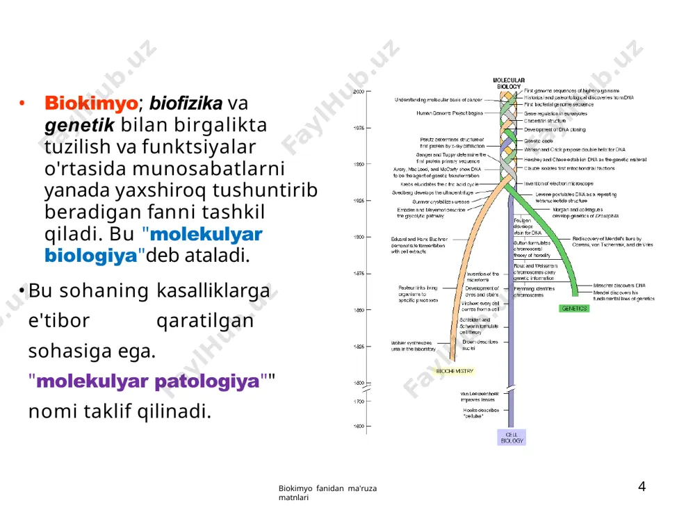judotlarning eng kichik qurilish blokidir, barcha tirik mavjudotlar hujayralardan iborat. tirik mavjudotlar bir hujayrali yoki ko'p hujayrali bo'lishi mumkin: - o'simlik va hayvon hujayralari = ko'p hujayrali ( eukariot) – bakterial hujayra = bir hujayrali (prokaryot) hujayra o'zining organik katalizatorlari tomonidan harakatga keltiriladi, bir nechta kimyoviy reaksiyalar bilan ichki dinamik muvozanatni ta'minlash,organik molekulalar bilan izotermik tizimda o'zini yangilash, o'z tuzilmalarini shakllantirish va atrof-muhitga moslasha oladigan birlikdir. prokaryotik hujayra (e. coli) 24 biokimyo fanidan ma'ruza matnlari eukaryotik hujayra (hayvon) 25 biokimyo fanidan ma'ruza matnlari eukaryotik hujayra (o'simlik) 26 biokimyo fanidan ma'ruza matnlari 2013 yil 8 yanvar 27 biokimyo fanidan ma'ruza matnlari hujayralararo farqlar pista urug'i prokaryot - eukariot + yadro membranasi - + yadrocha - + xromosoma (dnk) faqat birdan ortiq giston oqsillari - + intronlar - + sitoplazmatik organella - + hajmi kichik (1-10 mkm) katta (5-100 mkm) hujayra bo'linishi parchalanish orqali mitoz bilan oziqlanish so'rilish, so'rilish, hazm qilish, ba'zan …