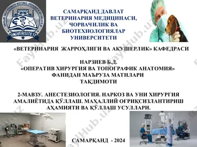 operativ hirurgiya va topografik anatomiya — PPT