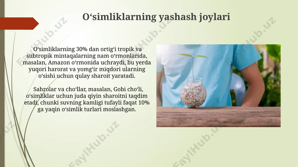 oʻsimliklar ekologiyasi asoslari - Page 4