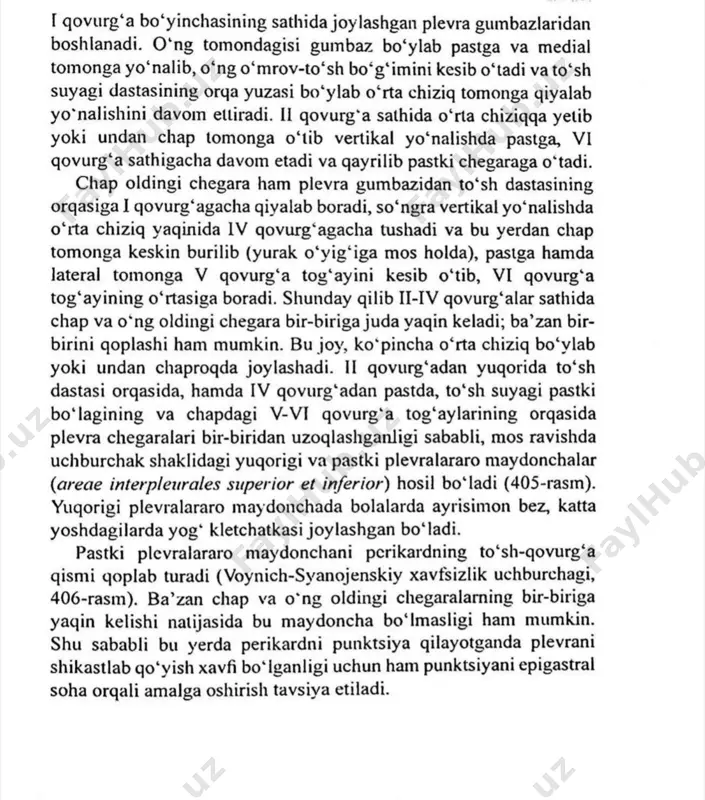 plevra - Page 3