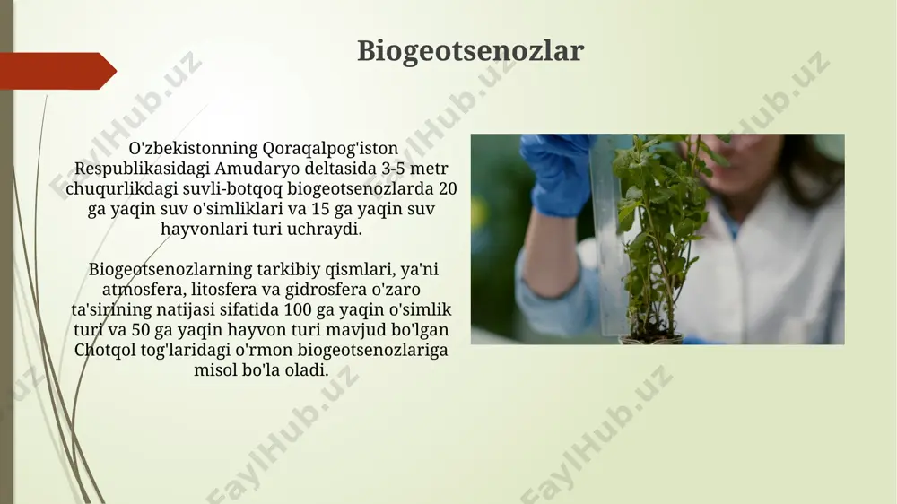 oʻsimliklar ekologiyasi asoslari - Page 5