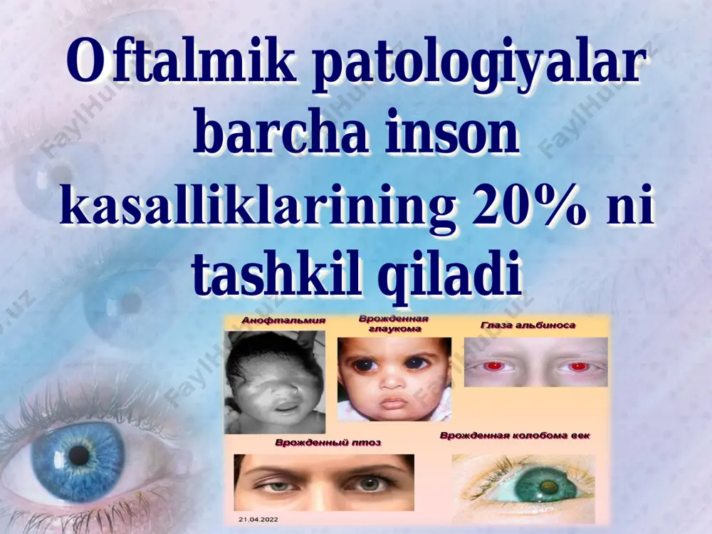joylashgan. orqa yarmida esa ko'zni harakatga keltiruvchi muskullar, qon tomirlar va nervlari o'rin olgan. ko'rish a'zosining umumiy qon aylanish sistemasi va qon bilan ta'minlanishi ko'rish a'zosi yirik va ko'p tolali bir dona — ko'z arteriyasi (a. ophthalmica) bilan ta'minlanadi. bu arteriya miyaning ichki uyqu arteriyasidan chiqib, ko'rish nervi kanali orqali ko'z kosasiga kiradi. ko'z kosasi ichida u ko'rish nervi va ko'zning yuqori to'g'ri muskuli orasidan o'tadi va ko'rish nervi yonidan bukilib, ko'z kosasining medial devoriga biroz yaqinlashgach shoxlana boshlaydi. uning yirik shoxlari: to'r pardaning markaziy arteriyasi, kipriksimon arteriyalar, ko'z yoshi bezi arteriyasi, ko'z kosasi ustki arteriyasi, ko'z muskullari arteriyalaridir. ko'z soqqasi va orbitaning arterial qon aylanish sxemasi. 1 — ko'z arteriyasi; 2 — to'r pardaning markaziy arteriyasi; 3 — orqa qisqa siliar arteriyalari; 4 — orqa uzun siliar arteriyalari; 5 — muskul arteriyalari; 6 — oldingi siliar arteriyalari; 7 — rangdor pardaning katta arterial qon aylanish doirasi. ko'ruv analizatorlari va …