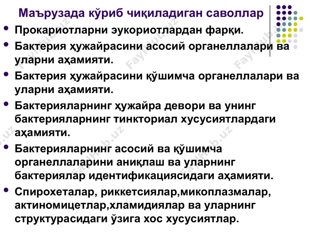 ланмаган, ядрочаси йўқ.унинг таркиби икки ипли спиралсимон ҳалқа кўринишдаги днк молекуласи бўлиб, цитоплазмага бирикган бўлади.таркибида 60 минг жуфт асос тутади. бу тоза днк молекуласи бўлиб, оқсил гистонлар тутмайди. рибосомалар – рибонуклеопротеинли бўлакча бўлиб ўлчами 20 нм атрофида бўлиб, иккита суббирликдан 30s дан 50s иборатдир. рибосомалар оқсил синтезига жавобгар хисобланади. оқсил синтезидан олдин ҳар икки суббирлик бирикиб битта 70s бирлик хосил қилади. мезосомалар- цитоплазматик мембрана маҳсули бўлиб, турли кўринишда (шишсимон, трубкачасимон ёки сиртмоқсимон) бўлиши мумкин. мезосома нуклеоид билан узвий алоқада, боғланган бўлади. улар бактериянинг спора ҳосил қилишида ва бўлинишида қатнашади. киритмалар -ҳужайрани метаболизми натижасида чиқарилмай, йиғилиб қолган метаболитлари, ёки бактериялар учун озиқ- овқат заҳираси бўлиши мумкин. бактерияларни киритмалари бўлиши мумкин: нейтрал ёғ томчиси; мум, олтингугурт; махсус углеводлар заҳираси (clostridium); гликоген грануласи метаполи- фосфат кўринишида (shirillum volutans, corynebacterium diphtheriae). бактерия- ларни киритмалари, волютин доначалари ҳужайралар учун доимий бўлмасдан уларнинг таркиби, кўриниши ўзгариб туради. бактерияларни ҳужайра девори -мустаҳкам, қайишқоқ структура бирлиги бўлиб, бактерия …