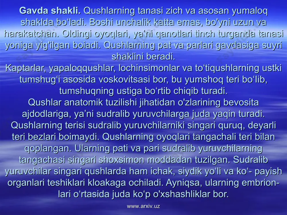 tumshug'i bilan maydalaydi, uya quradi, dushmanlardan o'zlarini himoya qiladi. umuman, qushlar tumshug'ining kattaligi va shakli oziq turiga qarab turli qushlarda har xil bo'ladi. tumshug'i asosida burun teshiklari joylashgan. boshining ikki yonida yirik ko'zlari bo'lib, ularda ustki va pastki qovoqlardan tashqari yumgich pardalari ham bor. ko'zlaridan orqaroqda birmuncha pastda patlari orasida quloq teshiklari joylashgan. ayrim qushlar (qirg'ovul, qur)ning boshida go'shtdor hosilalari taroq va halqalar bo'ladi. umuman, qush (kaptar, qarg'a, chumchuq)larning gavdasi nisbatan kichik boshi, uzun harakatchan bo'yni, tuxumsimon tanasi hamda bir juftdan oyoq va qanotlardan iborat. www.arxiv.uz www.arxiv.uz teri qoplami. qushlarning terisi yupqa va quruq bo'lib, unda hech qanday suyak tuzilmalari yo'qligi, patlardan tashkil topgan shox qoplag'ichining borligi va bezlarning bo'lmasligi bilan xarakterlanadi. ko'pchilik qushlarda faqat dum tubining ustiga o'rnashgan dum bezi bor. dum bezi o'zidan sekret chiqaradi. qushlar tumshug'i yordamida patlarini shu sekret bilan yog'laydi. bu yog'li sekret patlarni suv bilan ho'uanishdan saqlaydi. dum bezi, ayniqsa, suvda suzuvchi qushlarda yaxshi …