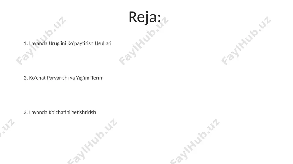 lgan joyda saqlang, namlik darajasini 60-70% atrofida ushlang, bu optimal oʻsishni taʼminlaydi. begona o'tlarga qarshi kurash lavanda ekishdan oldin tuproqni 2-3 marta yumshatish va begona o'tlarni qo'lda olib tashlash, keyinchalik ularning paydo bo'lishini sezilarli darajada kamaytiradi. kimyoviy usullardan voz kechish mumkin. mulchalash usuli, masalan, 5-7 sm qalinlikdagi organik mulchani qo'llash, begona o'tlarning o'sishini bostiradi va tuproq namligini saqlashga yordam beradi, shu bilan birga lavanda o'simliklariga foyda keltiradi. sug'orish rejimlari lavanda ko'chatlarini 4-6 haftadan keyin doimiy joyga ko'chirish mumkin, bu vaqtda ularda 2-3 ta to'la rivojlangan bargi bo'ladi. urug'larni 1-1,5 sm chuqurlikka ekish tavsiya etiladi, bu ularning etarli namlik olishini va ildiz tizimining yaxshi rivojlanishini ta'minlaydi. kasallik va zararkunandalarga nazorat (doimiy joyda) lavanda ekilgan joyda 2-3 yilda bir marta tuproqni dezinfektsiya qilish, masalan, 1% li mis sulfat eritmasi bilan ishlov berish, qo'ziqorin kasalliklarining oldini olishga yordam beradi. lavanda o'simliklarini muntazam ravishda tekshirib, kasallik yoki zararkunanda alomatlarini aniqlash, ularning tez tarqalishining oldini …