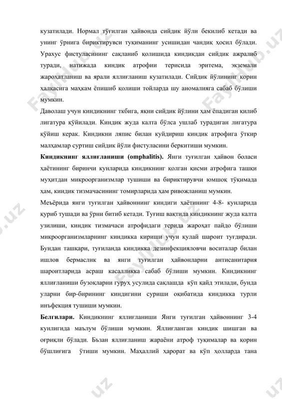 ъекция қилинади. антибиотиклар ва сульфаниламидлар билан бир курс даволаш ўтказилади. касалликни олдини олиш учун ҳайвонларни туғишида ва янги туғилган ҳайвонларни парваришлашда гигиеник талабларга риоя қилиш лозим. киндик томирларининг яллиғланиши. бу касаллик кўпинча тойча ва бузоқларда учрайди. тойчаларда одатда киндик артерияси, бузоқларда эса киндик венаси яллиғланади. касаллик туғишдан бир неча кун ўтгандан кейин бошланади. ҳайвон кўп ётади, кам эмади. танасининг ҳарорати кўтарилиб, юрак уриши ва нафас олиши тезлашади. киндик атрофи жуда безиллаб тургани учун ҳайвон зўр-базўр юради ва орқаси жуда қийшайиб кетади. киндик атрофидаги тери кўпинча йиринг билан ифлосланади. пайпаслаб кўрилганда киндик тизмачасининг бир қадар (бита бармоқча) йўғонлашганлиги маълум бўлади. босиб кўрилганда қўланса ҳидли қуюқ йиринг чиқади. касалликнинг дастлабки даврлари енгил ўтади. яллиғланиш авжига чиққанда эса эҳтиёт бўлиш керак, чунки микроорганизмлар қон томирлари орқали жигар ва бошқа паренхиматоз аъзоларга ўтиши мумкин. бу эса пиосептицемия ва ўлимга сабаб бўлиши мумкин. дезинфекцияловчи ва қиздирувчи компресслар (камфора ёки сулема спирти, хлорамин ва бошқалар) ҳам …