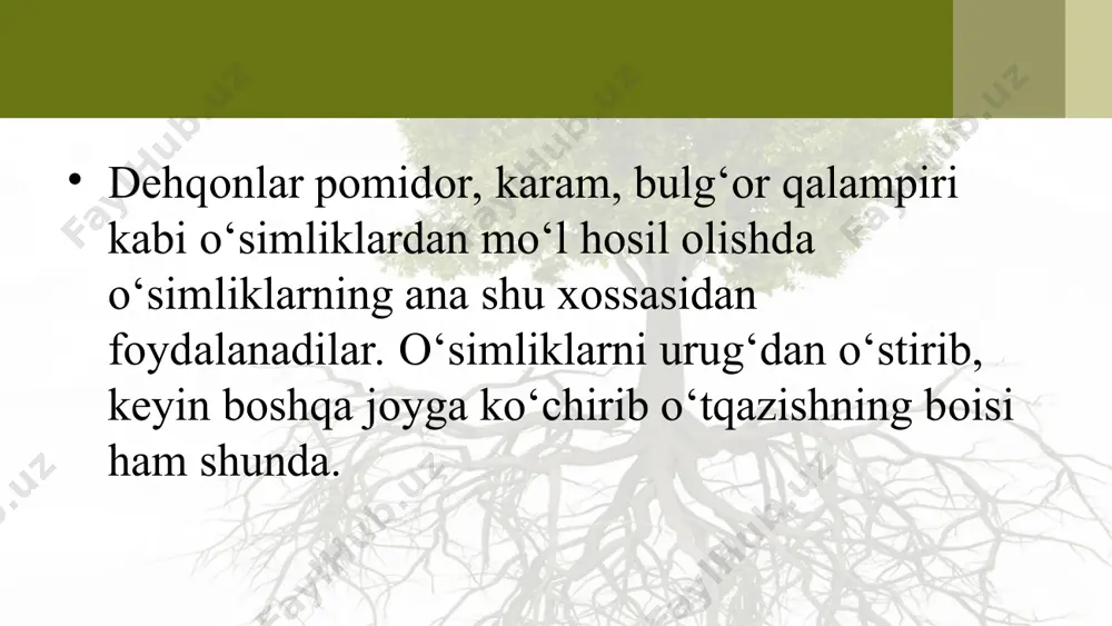 ildizning o‘sishi va nafas olishi. 5 - sinf - Page 5