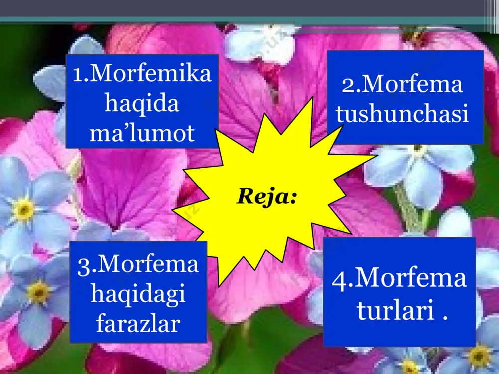 alishiga olib kelgan. моrfema lug’aviy shakl hosil qiluvchi sintaktik shakl hosil qiluvchi lug’aviy- sintaktik shakl hosil qiluvchi . so’zlarning eng kichik ma’noli qismlarini o’rgatuvchi tilshunoslik bo’limi morfemika deyiladi. marfemalarning vazifalarga ko’ra turlari so’z yasovchi shakl yasovchi so’z yasovchi, forma yasovchi so’z yasovchi shakl yasovchi derevatsion grammatik lekma yasovcshi shakl hosil qiluvchi morfemalarning vazifasiga ko’ra tasniflanishi morfemalar bajaradigan vazifasiga ko’ra dastlab leksema yasovchilar va shakl hosil qiluvchilar deb ikkiga ajratiladi leksema yasovchi morfemaning vazifasi-mavjud leksemaga qo’shilib yanggi leksema yasash. buday usul bilan hosil qilingan leksemaga yasama leksema deyiladi. shakl hosil qiluvchi morfemaning vazifasi-mavjud leksemaga qo’shilib uning turli grammatik shakllarini hosil qilish. shakl hosil qiluvchi morfemalar o’z navbatida ikki xil: shakl yasovchilar –bular obektiv voqelikka ko’ra ma’lum grammatik manoni ifodalash talabi bilan qo’shiladi. shakl o’zgartiruvchilar-leksemani bowqa bir leksemaga qo’shish uchun iwlatiladi. morfemaning ifoda jihati morfemalar tuzilishiga ko’ra ikki xil bo’ladi. 1.sodda morfemalar. 2.qo’shma morfemalar. morfemaning ifoda jihati odatda affiks morfemalar asosida tasvirlanadi. …