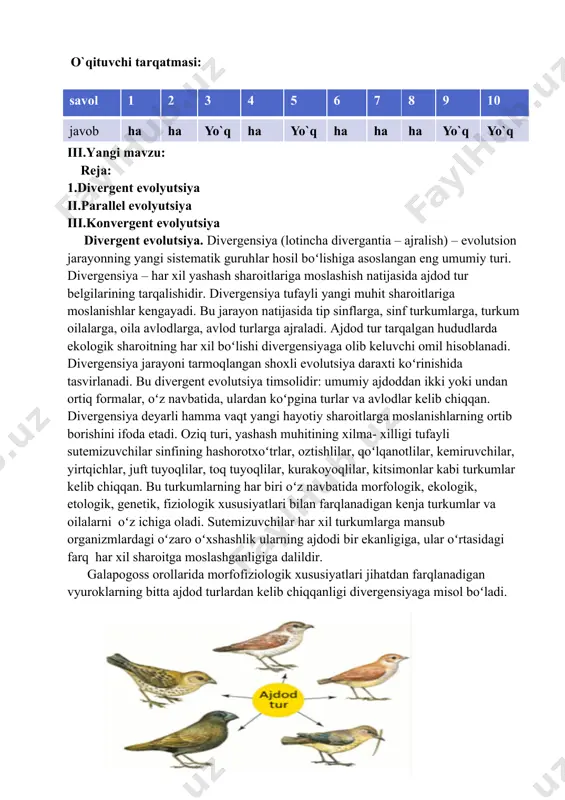 yashovchi oq ayiq oʻrmonda hayot kechiruvchi qoʻngʻir ayiq yoki togʻli oʻrmonlarda tarqalgan qora ayiqdan vazni, rangi bilan farq qilsa-da, ular ayiqsimonlar oilasining vakillari hisoblanadi. divergensiya asosan mutatasion jarayon, alohidalanish, populyatsiya toʻlqinlari, tabiiy tanlanish taʻsirida roʻy bergan. divergensiya tur paydo boʻlishining yoʻllaridan biri boʻlib, bunda populyatsiyalar evolutsiyaning boshlangʻich omillari taʻsiri natijasida ajdod turdan sezilarli darajada farq qiladigan belgilarni toʻplaydi va saqlaydi, oqibatda tur ajralib, yangi turlarni hosil qiladi. parallel evolutsiya (grekcha – parallelos – “yonma-yon” )- bir- biriga qarindosh boʻlgan organizmlar guruhlarida bir yoʻnalishda oʻxshash belgilar paydo boʻlishi bilan ifodalanadigan evolutsion oʻzgarish. masalan, sutemizuvchi kitsimonlar va kurakoyoqlilar bir- biridan mustaqil holda suv muhitiga moslanishlar – kurakoyoqlar paydo boʻlgan. afrika va janubiy amerika qit’alarida tarqalgan sutemizuvchilar tana tuzilishida oʻxshashliklni koʻrish mumkin. parallelizm bir- biriga genetik yaqin turlarda belgilarning oʻxshashligi, gomologik tuzilmalarning mustaqil holda oʻzgarishlari natijasida yuzaga keladigan evolutsiyadir. har xil turlarning bir xil genlarida oʻxshash mutatsiyalar paydo boʻlishi paralallizmga sabab boʻladi. xuddi …
