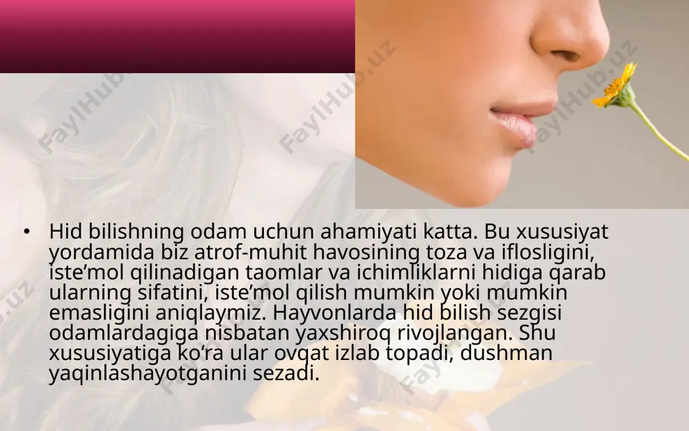 hid va ta’m bilish organlari. 8 - sinf - Page 4