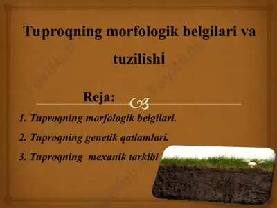 tuproqning morfologik belgilari va tuzilishi — PPT