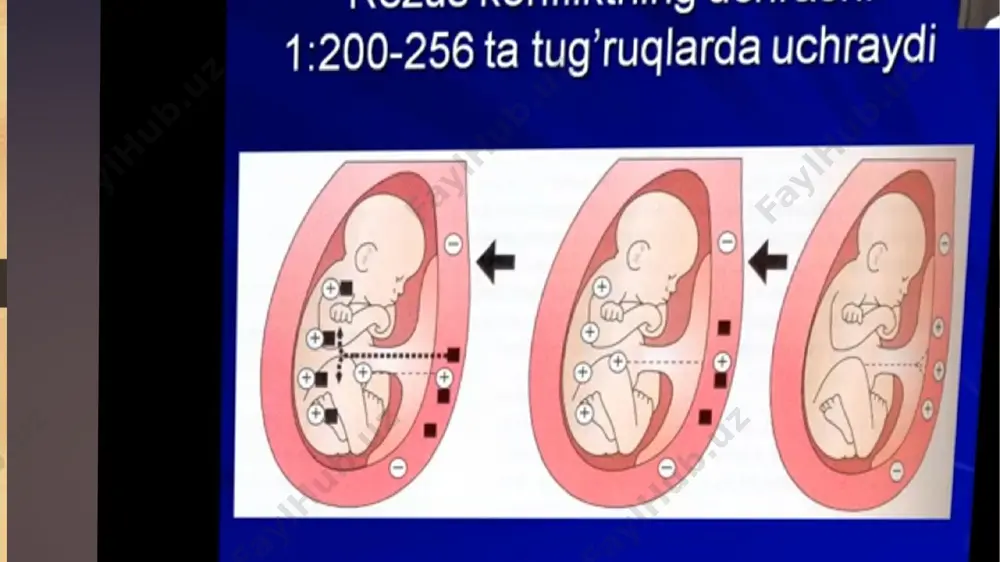 gemolitik kasalliklar va diagnostika - Page 3