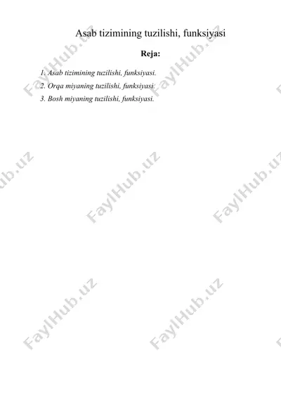 asab tizimining tuzilishi, funksiyasi — DOC